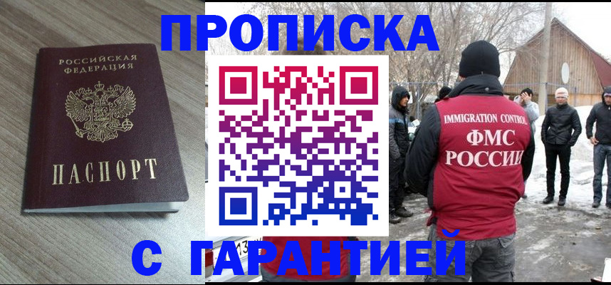 прописка 2026 в Шебекино